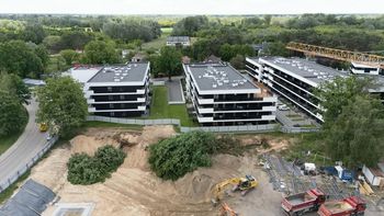Deweloper nie dostał zgody na wycinkę. "Koparki przewracają drzewa"