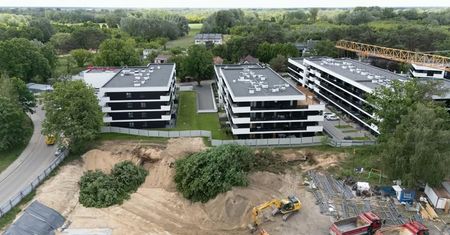 Deweloper nie miał zgody na wycinkę drzew. To je wyrwał z korzeniami