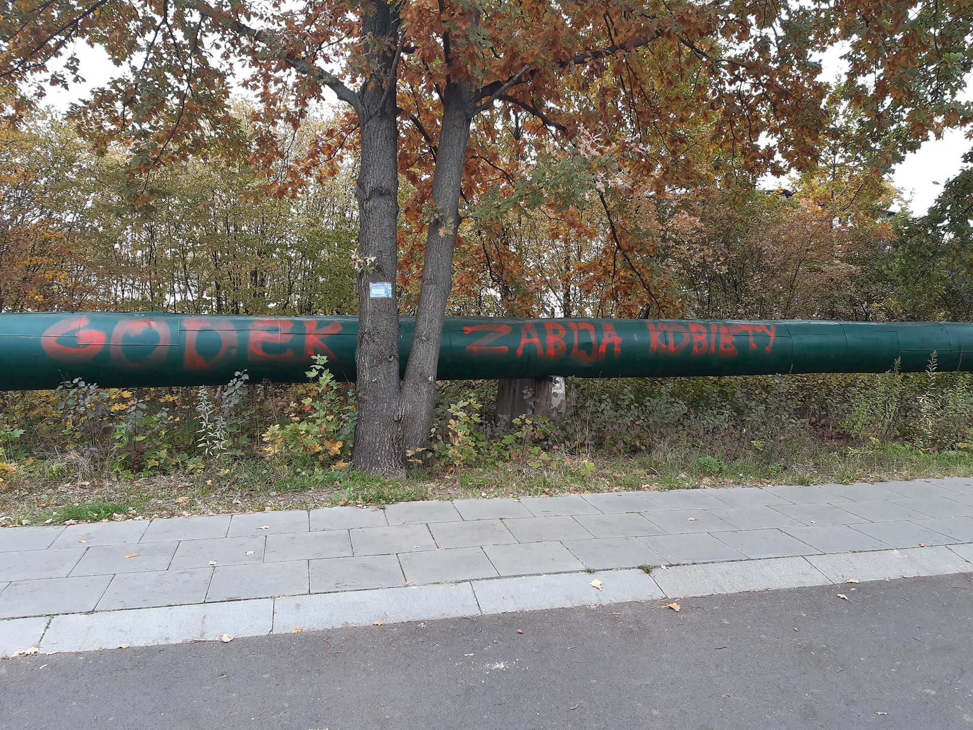 Kaja Godek