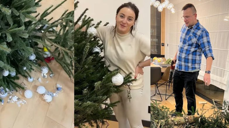 Świąteczny DRAMAT Bardowskich: Grzegorz nie był w stanie URATOWAĆ wymarzonej choinki Ani: "I ch.. bombki strzelił"