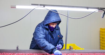 Zwolnili pracowników i sprzedają fabrykę. Zdradzają, co dalej z terenem