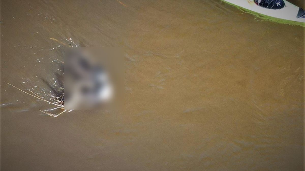 Ekipa z fundacji robiła akurat nad Wartą zdjęcia z drona 