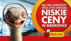 Najsilniejsze marki pod względem znajomości reklam: Biedronka, Allegro, Lidl