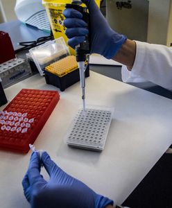 Koronawirus w Polsce. Na Podkarpaciu kolejne przypadki zakażeń