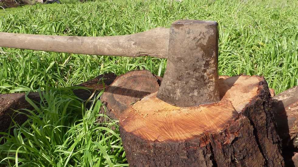 Lifehacking dla domorosłego drwala [wideo] 1