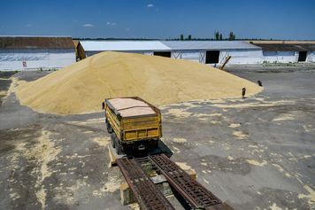 Wraca sprawa zboża. Oto czego chce Ukraina