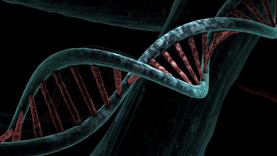 Tajemnicze DNA.