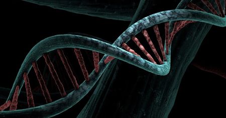 Mamy 20 proc. ich DNA. Tajemniczy przodkowie sprzed 1,5 mln lat