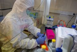 Omikron w 20 krajach. Nowe doniesienia naukowców