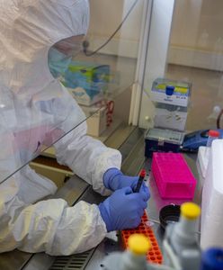 Omikron w 20 krajach. Nowe doniesienia naukowców