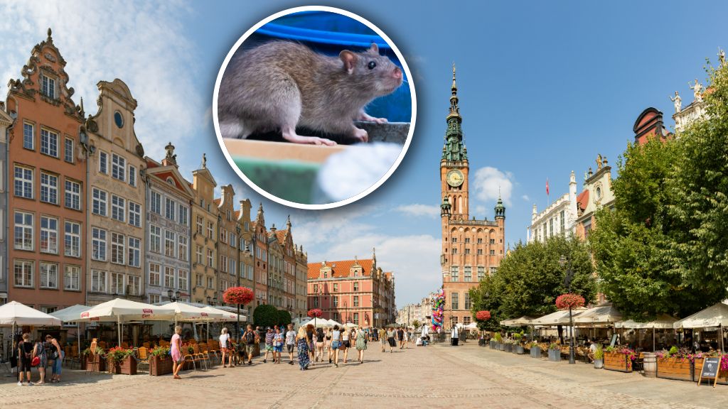 Gdańsk