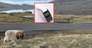 Ceny na Wyspach Owczych są astronomiczne. Pokazał "paragon grozy"