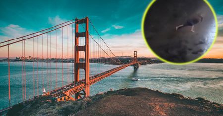 Mężczyzna spadł z klifu w Kalifornii. Dramatyczna akcja ratunkowa