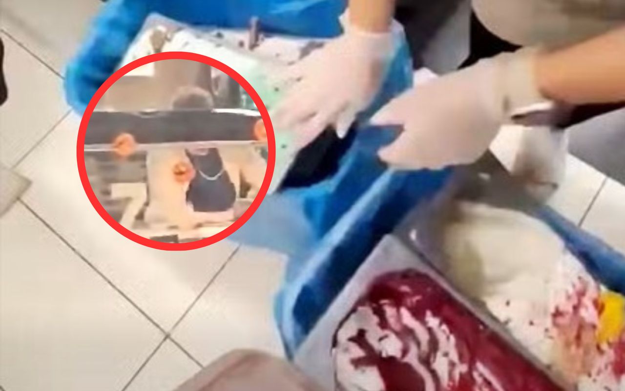 Nakryła pracownicę lodziarni. Jest reakcja na bulwersujące nagranie