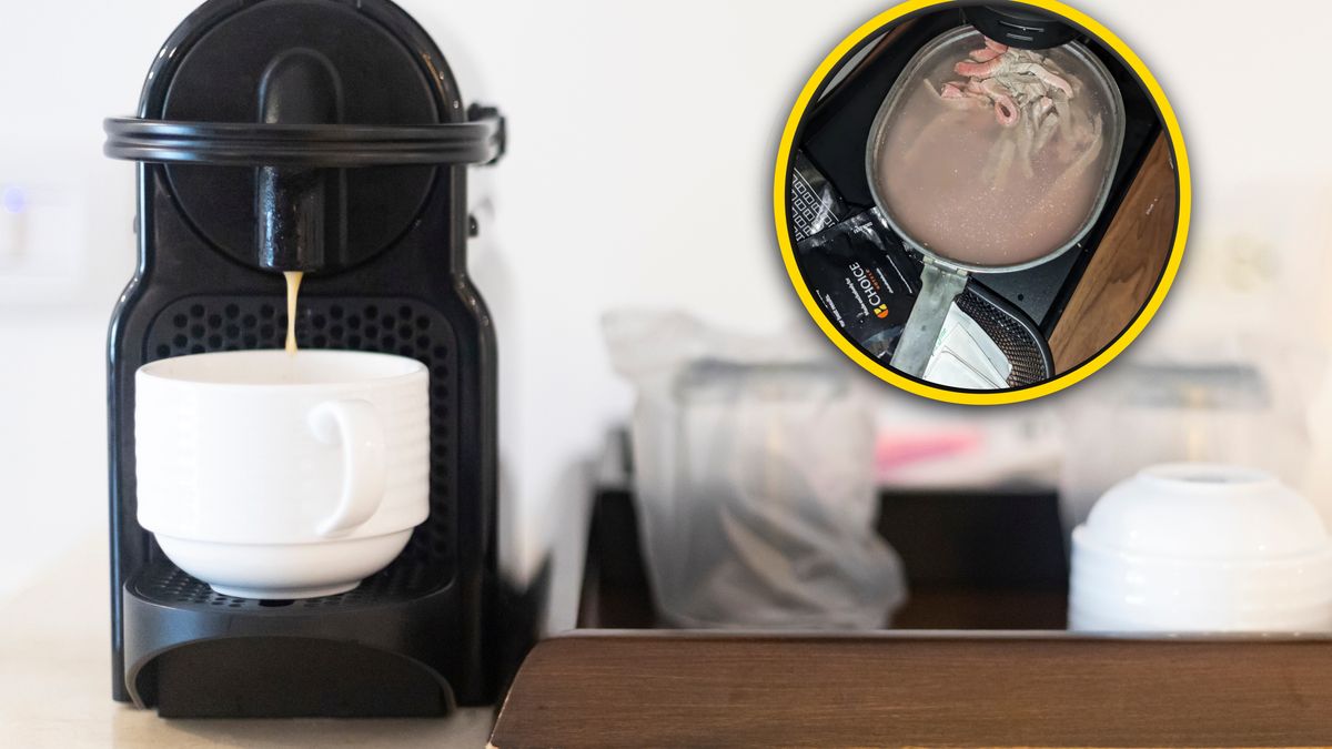 Internauta pokazał hotelowy posiłek 