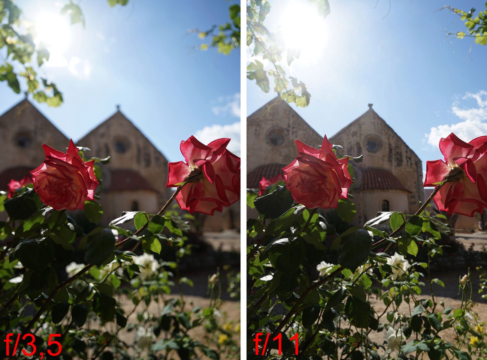 Superzoom wagi ciężkiej, czyli Sony FE 24-240 mm f/3,5-6,3 [test] 19
