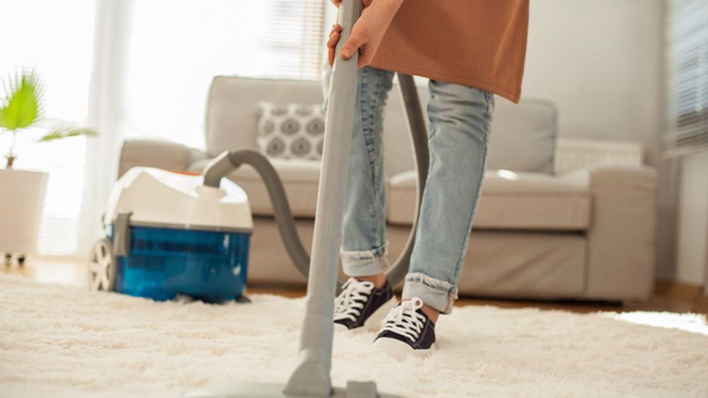 Odkurzacz, który będzie zbierał okruszki także z dywanu, to świetne urządzenie 