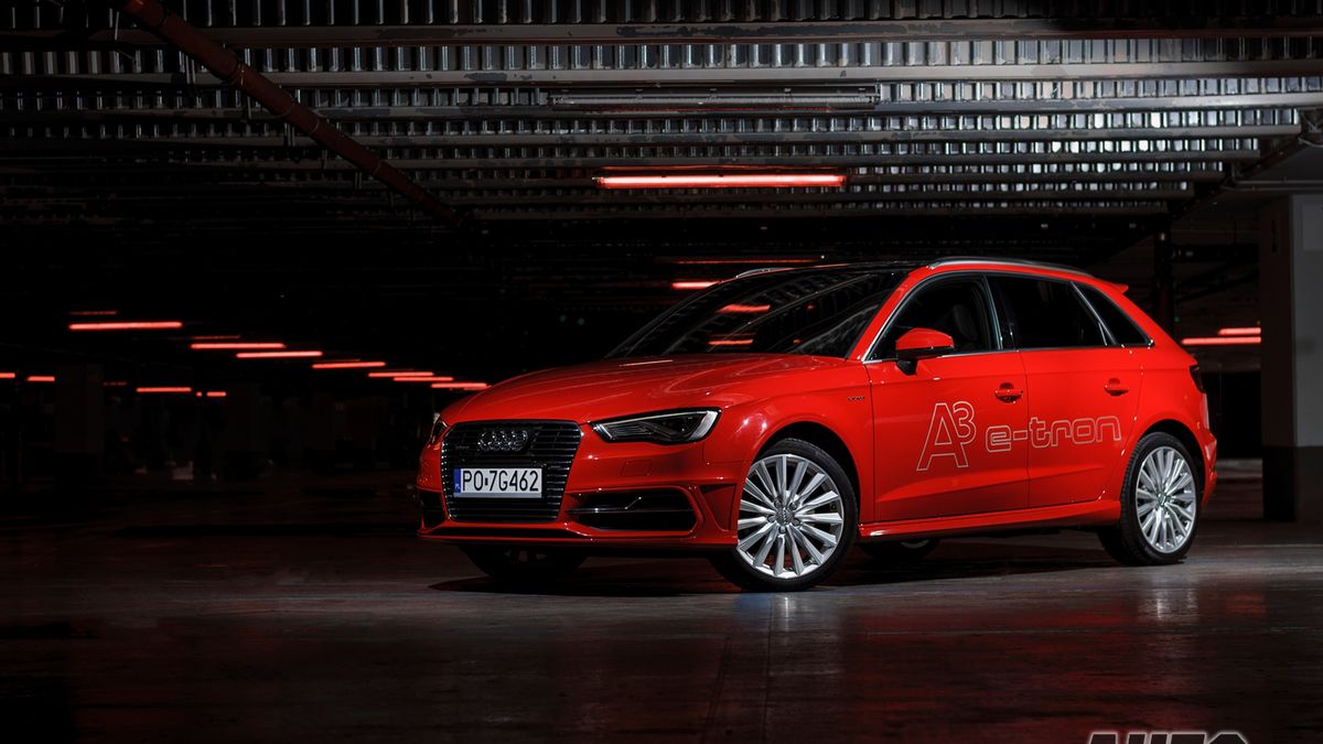 Zdjęcie ilustracyjne do artykułu