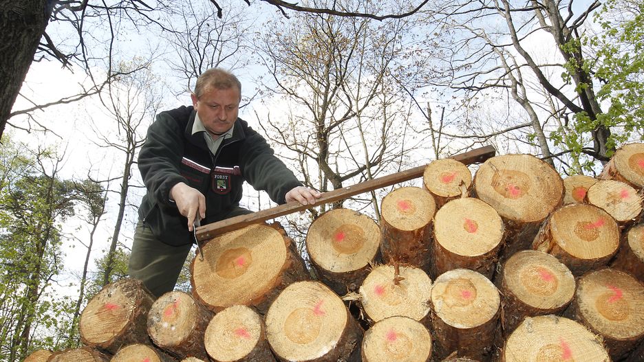 Wobec kryzysu energetycznego zdesperowani są też Niemcy. Z lasów ginie drewno przygotowane przez leśników