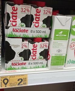 "Milkflacja" szaleje w Korei. Polskie mleko podbija nowy rynek