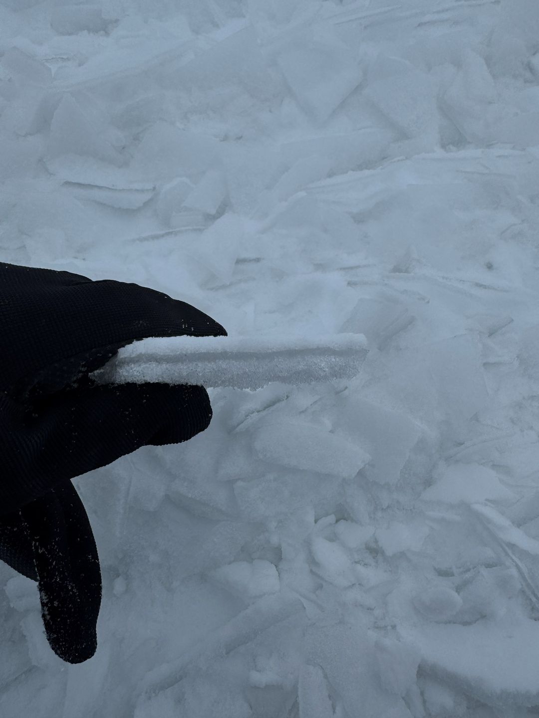 Oto efekty zimowych prac na polu.