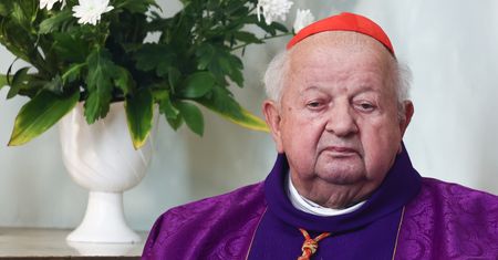 Dziwisz przed komisją ds. pedofilii. "Dla nas nie ma znaczenia"