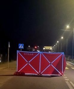 "Apelujemy". Policja szuka sprawcy śmiertelnego wypadku