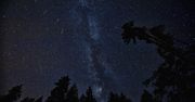 Leonidy 2022. Nie przegap "deszczu meteorów"
