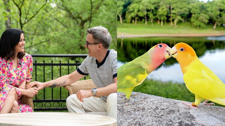  Papużki nierozłączki, które wyglądają jak "Kurzopki"