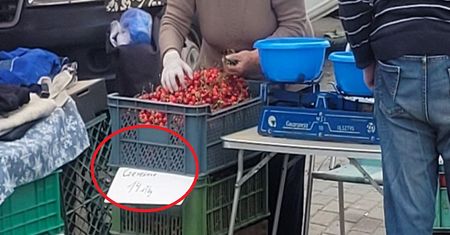 14 zł za kilogram. To nie pomyłka. Sadowniczka: Psucie rynku