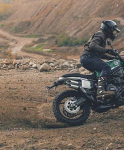 Benelli Leoncino 800 w dwóch wersjach wjeżdża do salonów. Znamy ceny