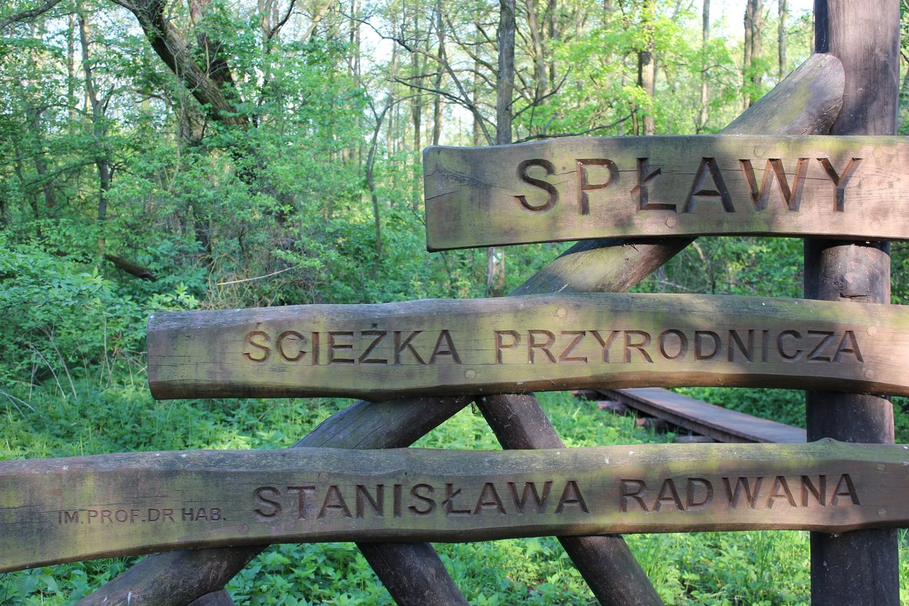 Ścieżka przyrodnicza "Spławy", fot. Azymut