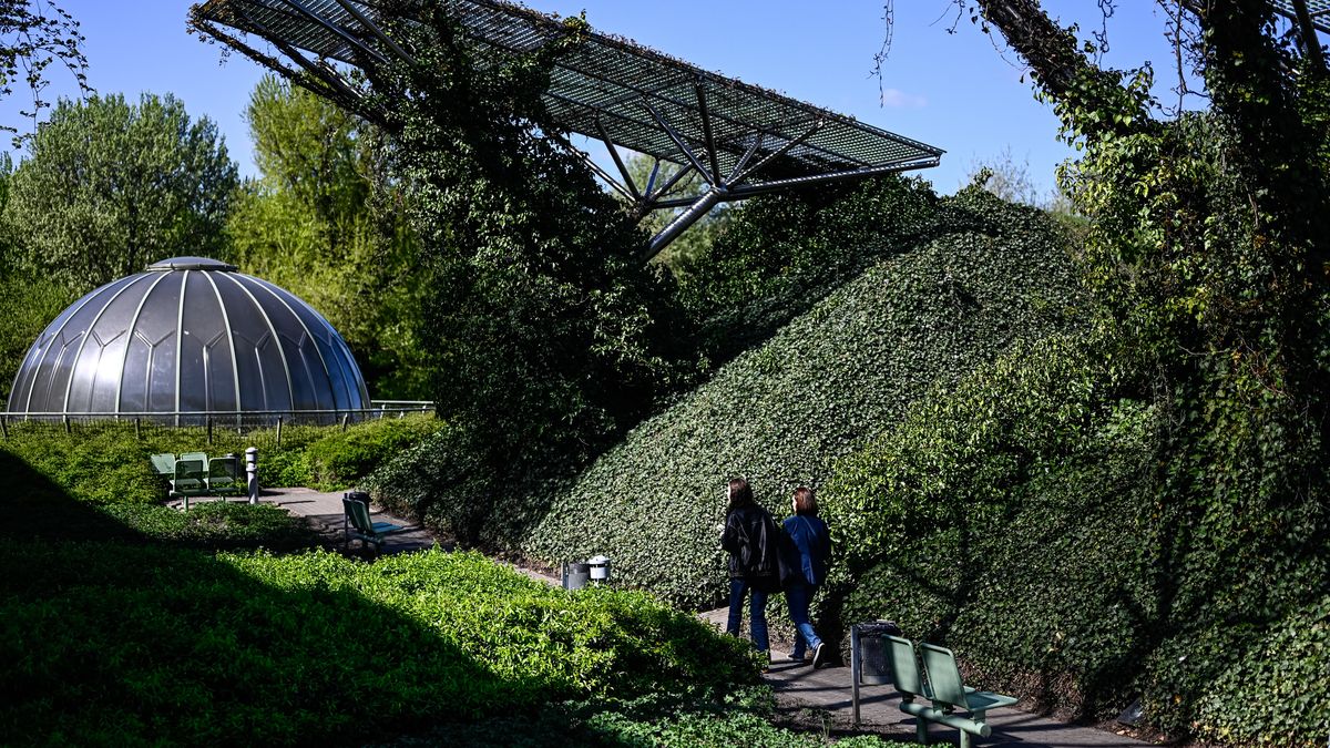 Warszawski ogród na dachu Biblioteki Uniwersyteckiej zachwyca Europę