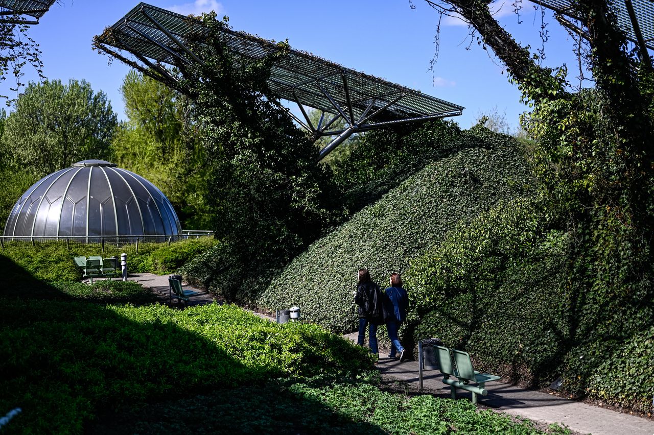 Piszą o Warszawie. Ten ogród zachwycił Brytyjczyków