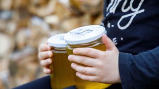 Chrzanów: Powiatowe Święto Miodu. Konkursy, wykłady, prezentacje i kiermasz na Rynku