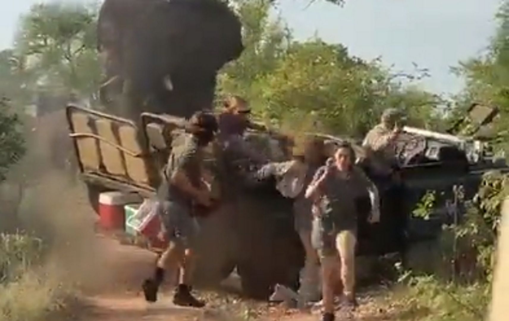 Sceny grozy. Wściekły słoń zaatakował turystów na safari