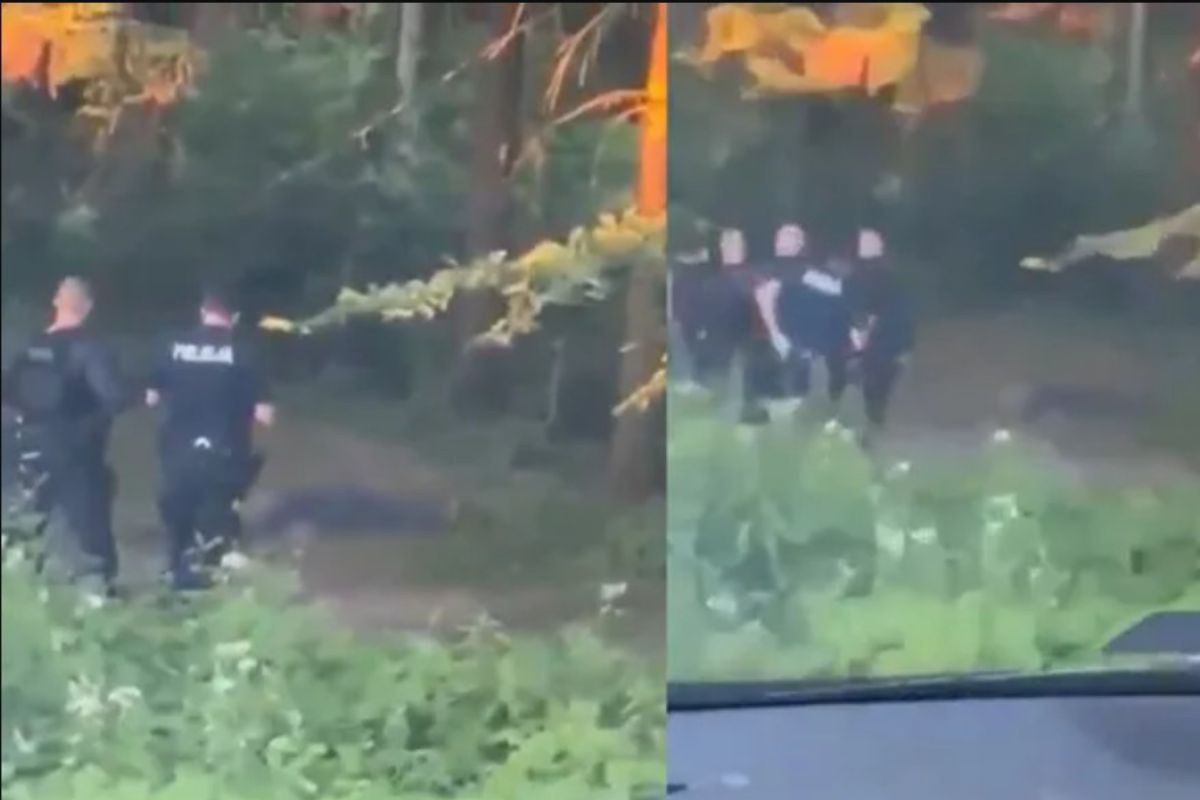 Policja potwierdza autentyczność nagrania ze Starej Wsi