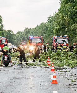 IMGW tłumaczy się z prognoz przed nawałnicami. "Ostrzegaliśmy"