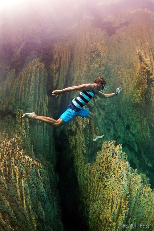 Underwater Photo Contest / 1 miejsce w kat. Fotografia Konceptualna