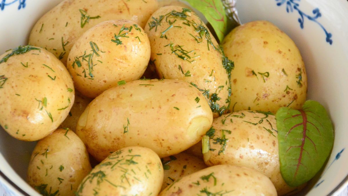 Czym różnią się ziemniaki młode od wczesnych? 