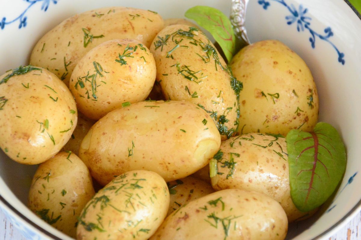 Czym różnią się ziemniaki młode od wczesnych? 