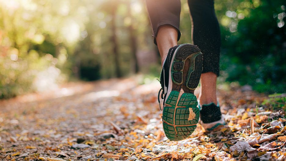 Closeup of running shoe of the person running in the nature with beautiful sunlight.
Eshana Lena Gadanski
running in nature, foot, runner, activity, legs, running shoes, sportswoman, recreation, footwear, woman, autumn, fall, season, ground, young, road, path, woods, sneaker, park, closeup, fit, sole, mountain, athletic, outdoor, girl, shoe, female, workout, track, trail, training, jogging, forest, sport, healthy, lifestyle, athlete, marathon, fitness, run, exercise, sunlight