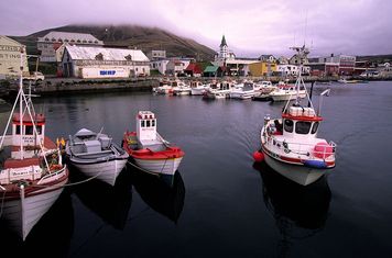 Islandia zadecydowała. Są wyniki referendum ws. negocjacji z UE