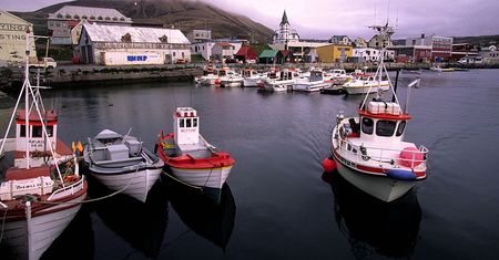 Islandia zadecydowała. Są wyniki referendum ws. negocjacji z UE
