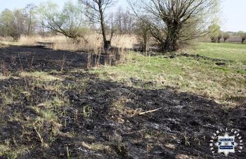 Bardzo popularna metoda. Kara nawet do 10 lat więzienia