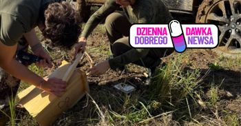10 tajemniczych domków. Nie uwierzysz, gdzie je zamontowano