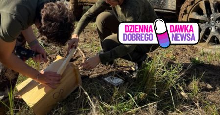 10 tajemniczych domków. Nie uwierzysz, gdzie je zamontowano