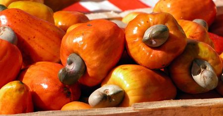 Tylko garstka dziennie. Wymiatają cholesterol z organizmu i zbijają wysoki cukier