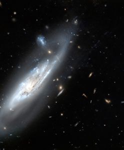 Wenus. Odkryto aktywne wulkany na Wenus. To zaprzeczenie teorii o uśpionej planecie