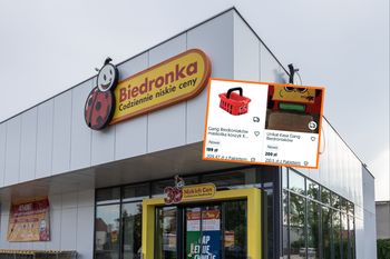 200 zł za maskotkę. Tak zarabiają na brakującym hicie z Biedronki